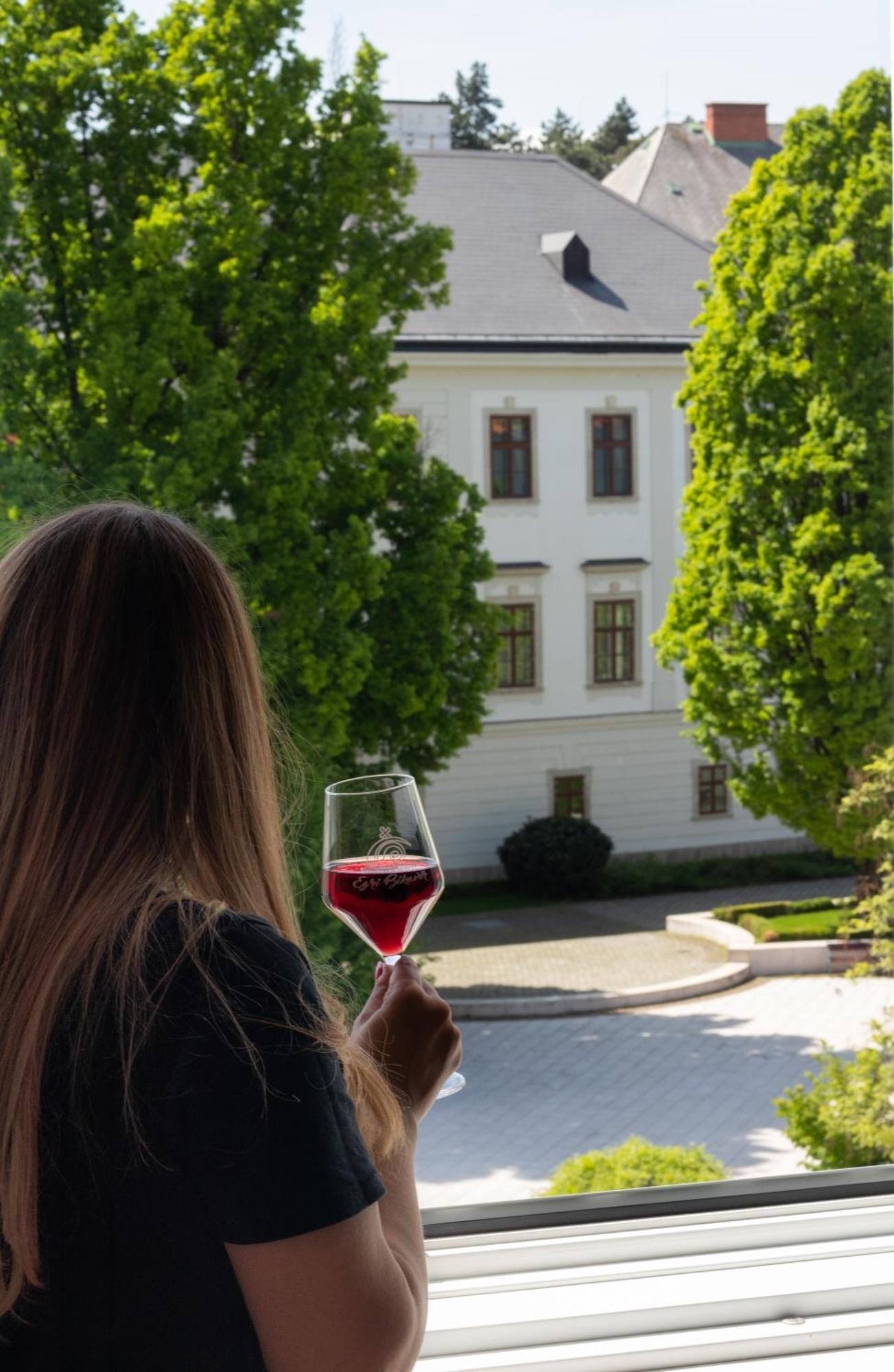 Suzy Apartman Eger Eksteriør billede